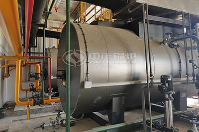 20t oil gas fired steam boiler