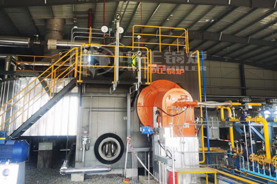 40t gas fired steam boiler