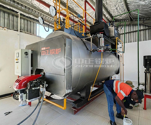 gas fired boiler in Botswana