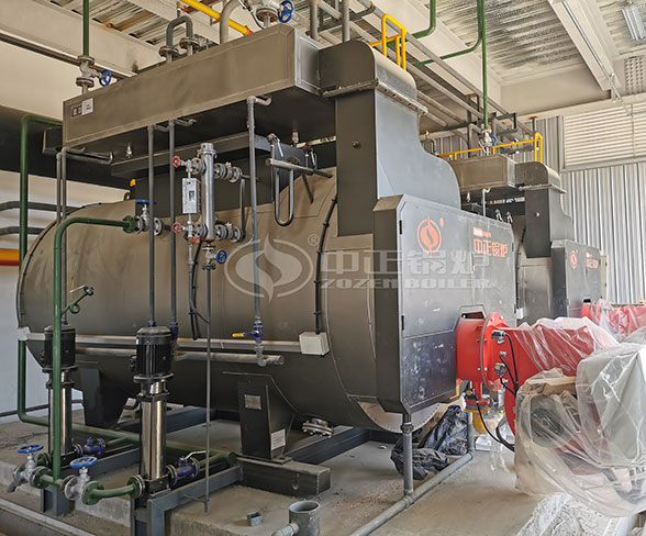 gas fired boiler in Colombia