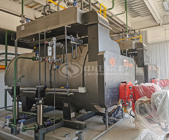 Steam Boiler 3 Ton Capacity