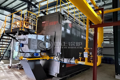 20 Tons Low Nitrogen Gas Steam Boiler for Chemical Mill