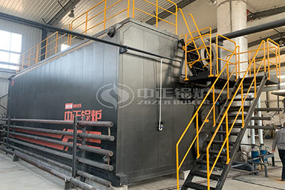 20t oil gas fired boiler