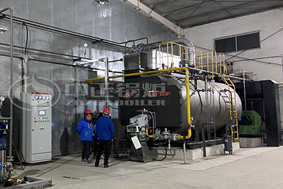 6tph gas fired steam boiler