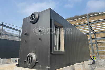 10 tph steam boiler for center heating