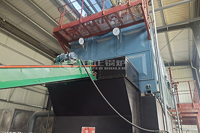 SZL series coal biomass fired boiler