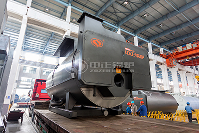 wns diesel fired steam boiler