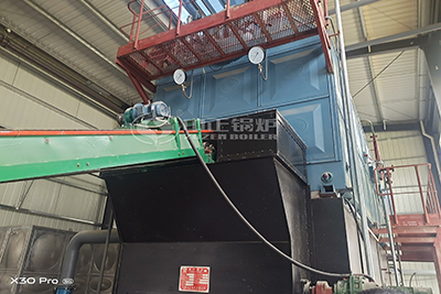 Indonesia Building Materials Industry 10 t/h Coal Steam Boiler