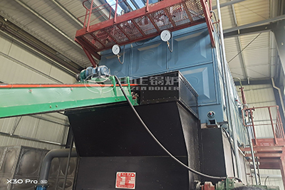 10tons coal boiler in Indonesia