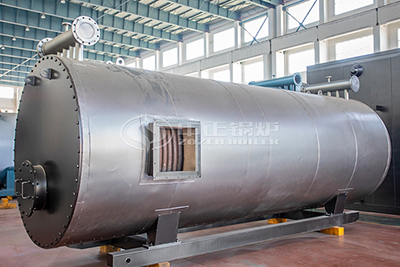 2 Million Kcal Gas Fired Hot Oil Boiler for Grease Production Line
