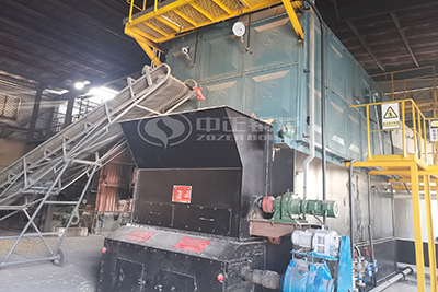 8 tph coal fired steam boiler