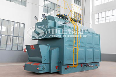 biomass fuel chain grate boiler