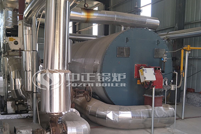 3 Million Kcal Gas Thermal Oil Boiler in Chemical Plant