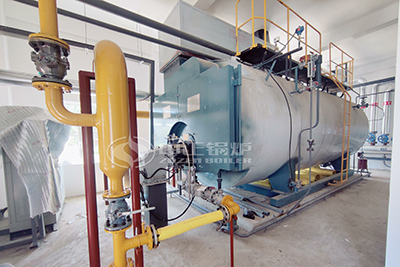 5T Gas Steam Boiler Used in Algeria Food Industry