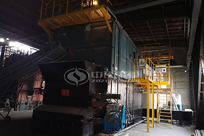 6 tons biomass steam boiler