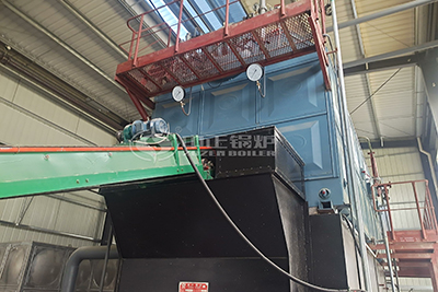 15 Tons Chain Grate Coal Boiler in Feed Mill