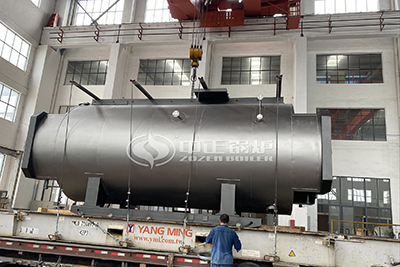 WNS series gas fired steam boiler