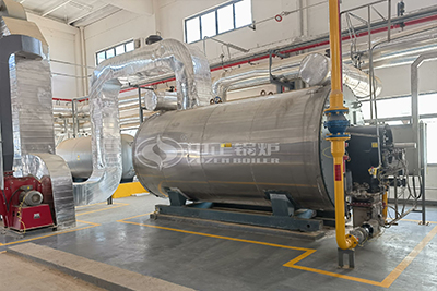 oil gas fired thermal oil heater