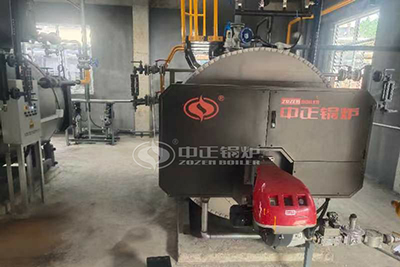 ZOZEN Industrial Steam Boiler in Juice Production