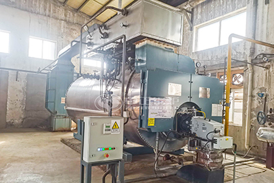 4 Ton Biogas Steam Boiler for Egypt Dairy Plant