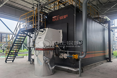 natural gas biogas fired boiler