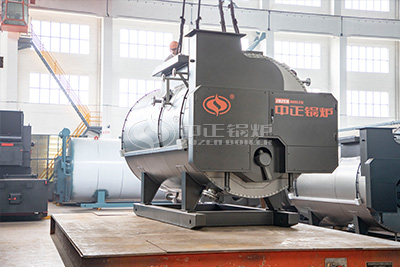 ZOZEN wns series natural gas fired boiler