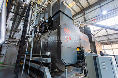 wns series oil gas fired boiler