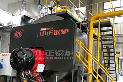 15 tph natural gas biogas fired boiler