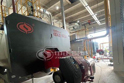 8T/H 12.5 Bar Gas Steam Boiler in Packaging Industry