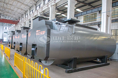 Gas Steam Boiler Manufacturer in Philippines