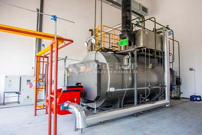 oil gas fired boiler used in textile factory