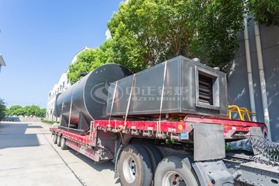 zozen wns series gas fired boiler