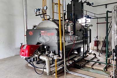 Food Factory 4 Ton Per Hour Gas Steam Boiler