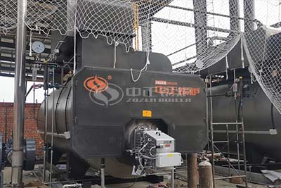 industrial biogas natural gas fired boiler