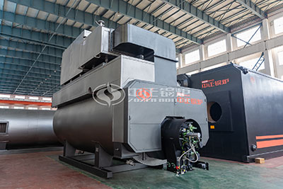 ZOZEN lpg natural gas fired steam boiler