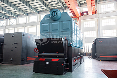 coal biomass fired steam boiler for sale