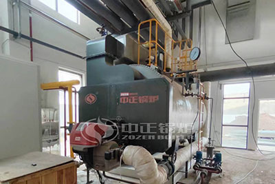 natural gas fuel 5 ton stam boiler