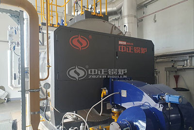 3 Ton Natural Gas Steam Boiler Project in Hungary