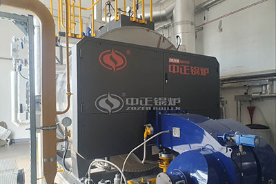 ZOZEN 3 ton gas steam boiler in Hungary