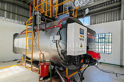 ZOZEN 3 Ton Oil Fired Boiler in Botswana Fragrance Factory