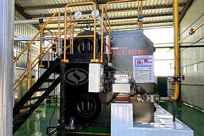 4 ton 16 bar biogas fired boiler used in paper plant