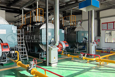 5 ton 12.5 bar gas fired steam boiler