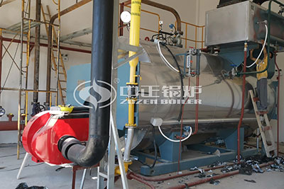 5 ton gas fired boiler in packaging plant