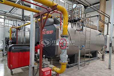 Industrial Gas Boiler in Bangladesh Chemical Factory