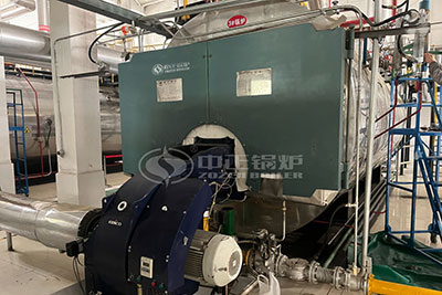 10 ton 16 bar gas steam boiler in feed factory