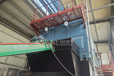 8 ton 12.5 bar coal fired steam boiler