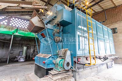 DZL 2 ton 12.5bar coal fired steam boiler