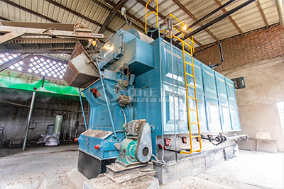 DZL 6 ton biomass fuel steam boiler in food factory