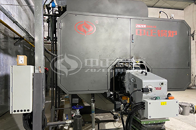 ZOZEN 5 ton industrial steam boiler