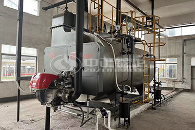 ZOZEN 8 ton gas steam boiler in UAE